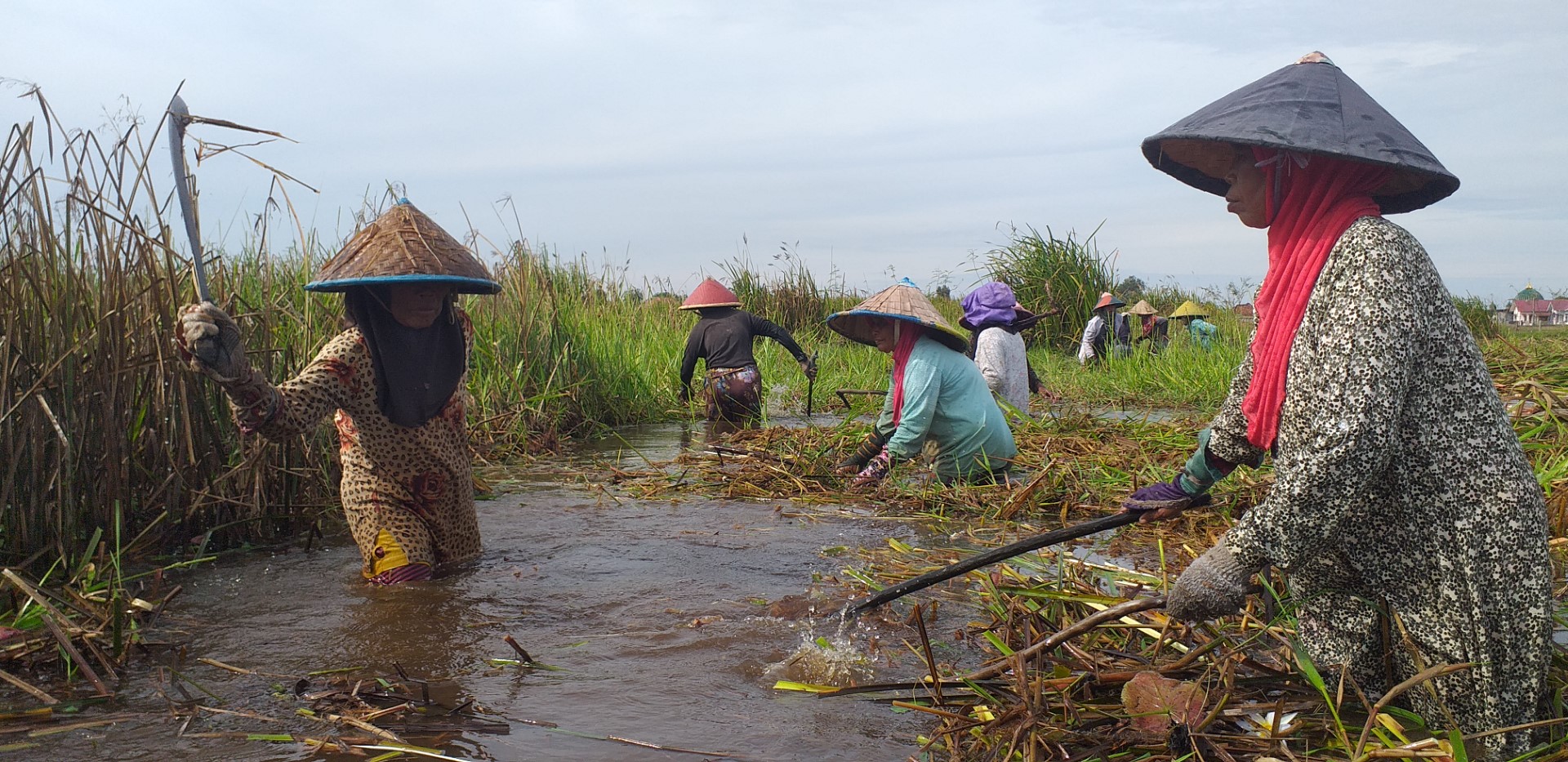Pelibatan Masyarakat sebagai Kunci Keberhasilan Konservasi dan Restorasi Lahan Gambut
